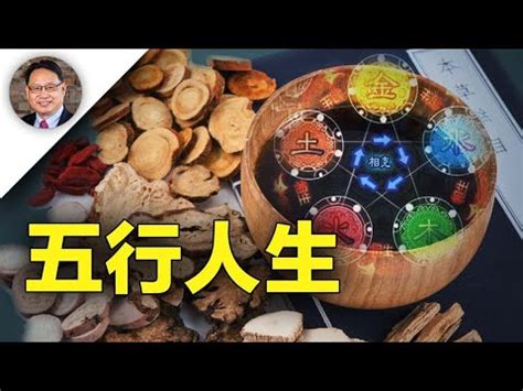 飲食業五行|【飲食業五行】飲食業五行：如何在餐飲業中平衡火與水的能量？。